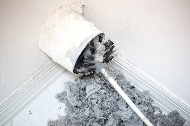 Best Air Duct Cleaning Near Me  in Clermont, GA