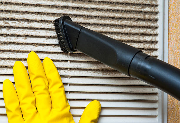 Best Professional Duct Cleaning Services  in Clermont, GA